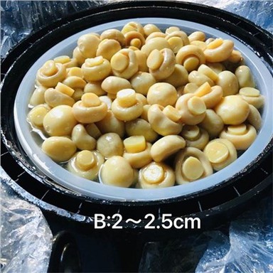 Beli jurčki v slanici pakirani v durme