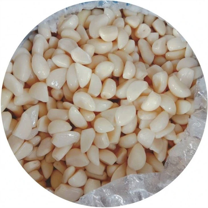 Normal white garlic in salted water in drums