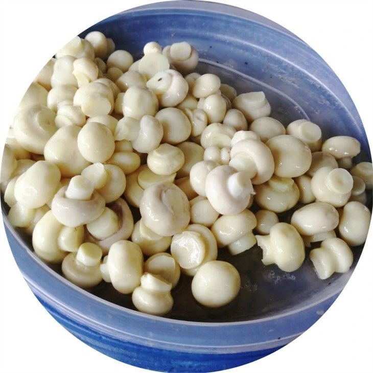 Brined whole mushroom in plastic drums
