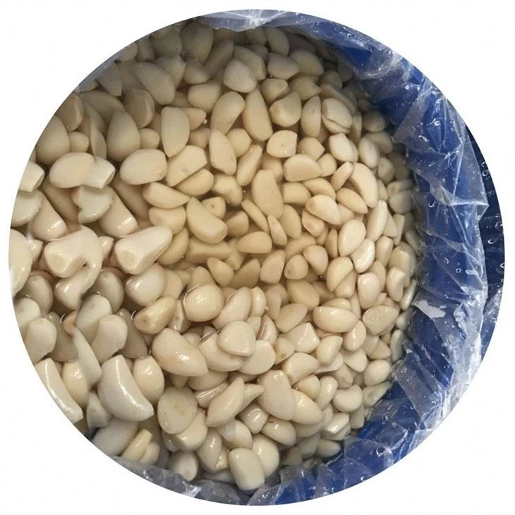 White garlic in drums