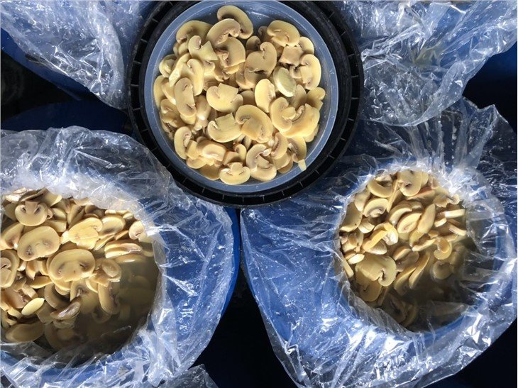 Sliced white mushroom in drums