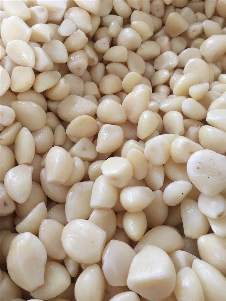 peeled garlic cloves in brine in drums