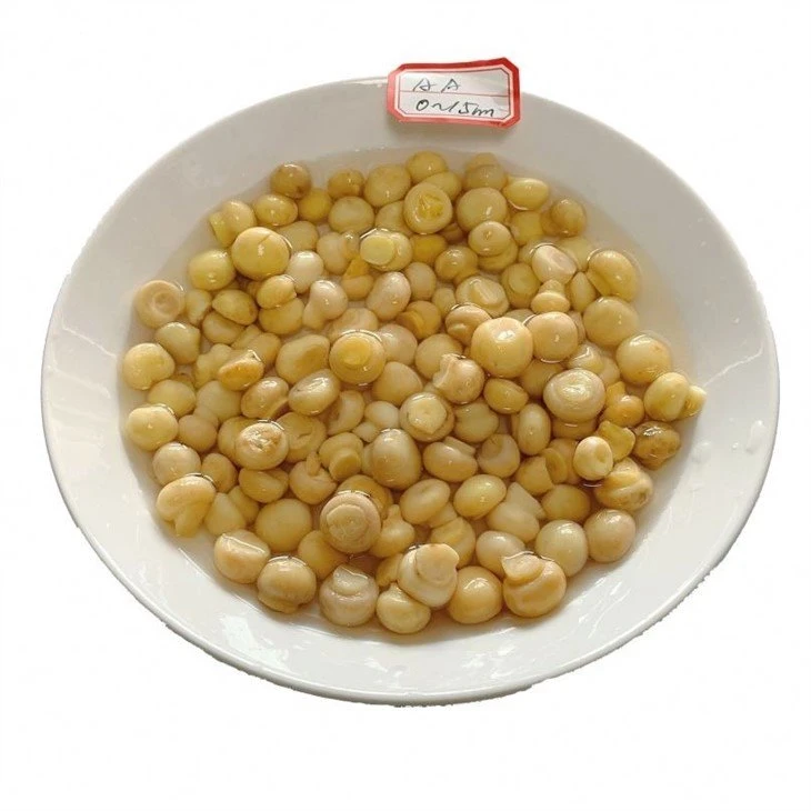 Whole champignon mushroom in salted water in drums
