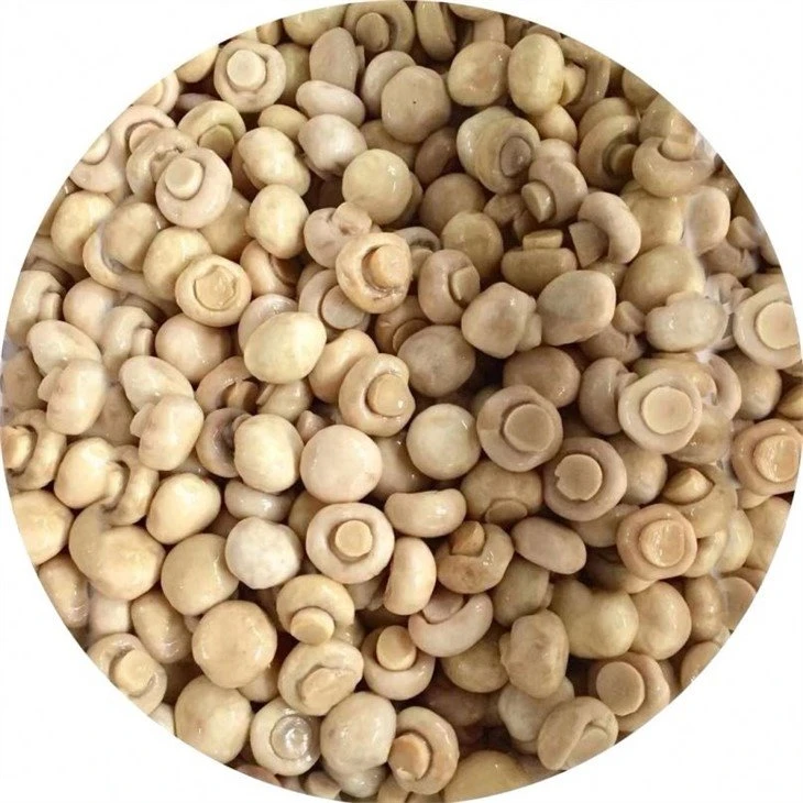 1.5-2.0cm whole white mushroom in brine in drums