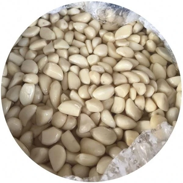Pickled garlic in brine in drums