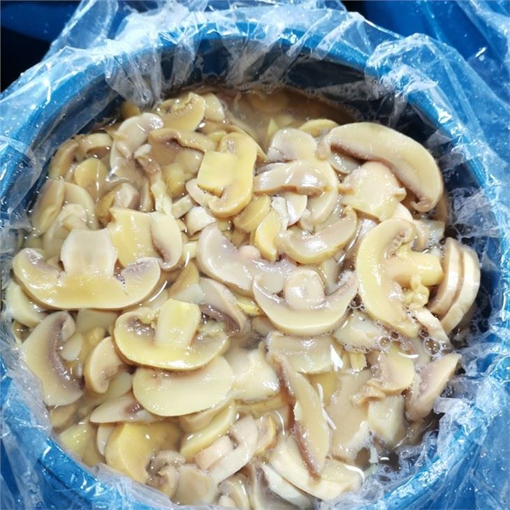 Best Quality Sliced Button Mushroom in Brine in Drums