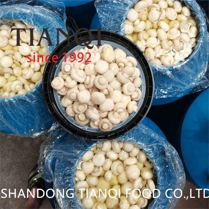 Top quality whole white mushroom in drums