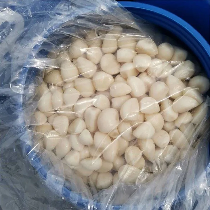 Pickled peeled white garlic cloves in brine in plastic drums
