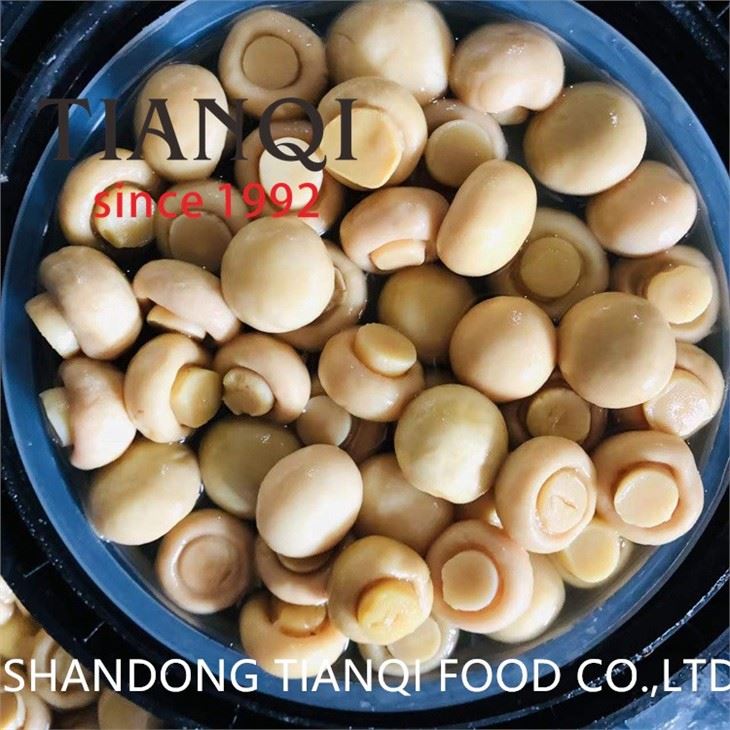 Brined Sliced White Champignon Mushroom in Drums