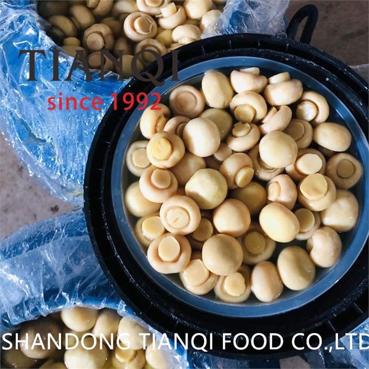 Sliced Champignon Mushroom in Drums