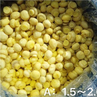 Začinjanje konzerviranih celih gob v sodu