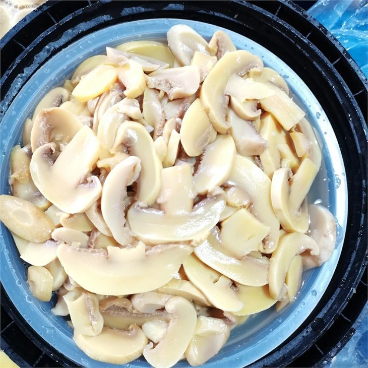 Sliced Mushroom in Brine in Drums