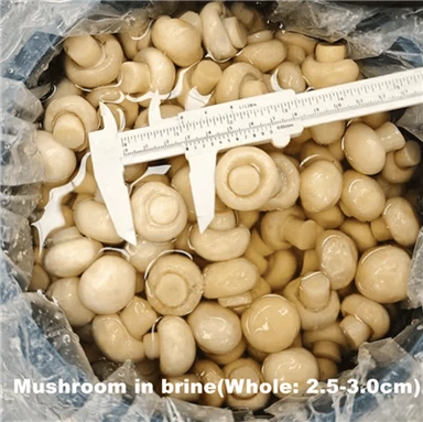 Slanica cela goba v bobnih